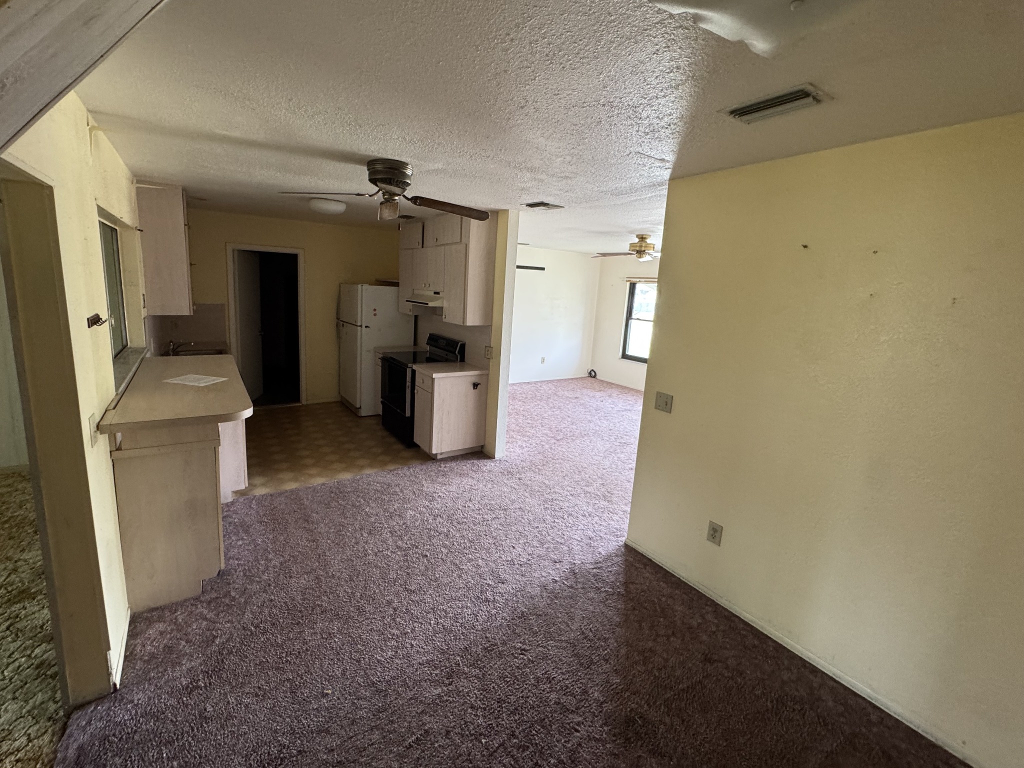 Kitchen and adjoining carpeted area before renovation